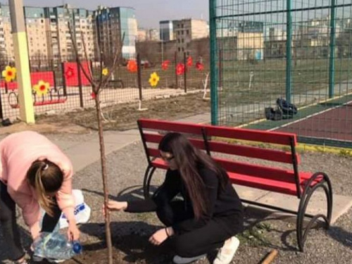 Новые скамейки, молоденькие деревца: в самом активном районе Кривого Рога продолжается благоустройство (фото)