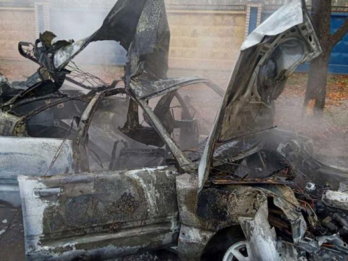 В Кривом Роге после удара в дерево загорелся автомобиль (фото)