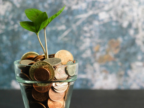 Грошові талісмани для дому: що справді варто мати - фото з відкритих джерел