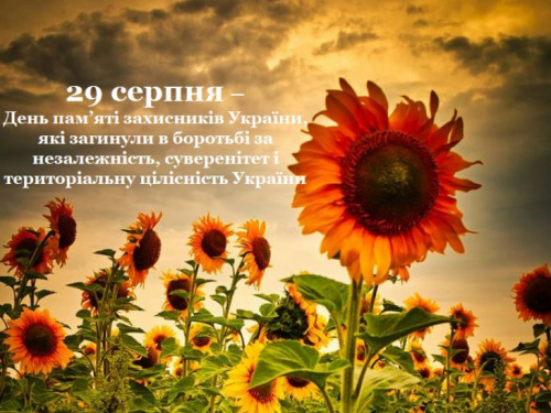 Соняхи пам’яті: вшанування героїв, які віддали життя за Україну - фото з відкритих джерел