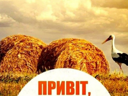 Скільки відпочиватимуть українці у серпні: календар вихідних і святкових днів