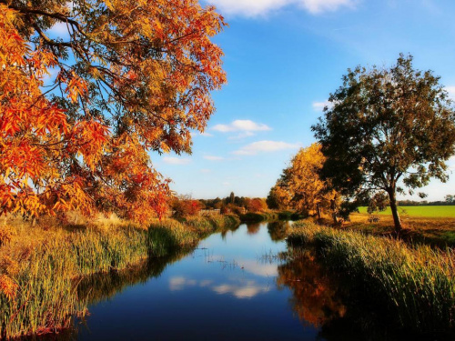 Фото з відкритих джерел  
