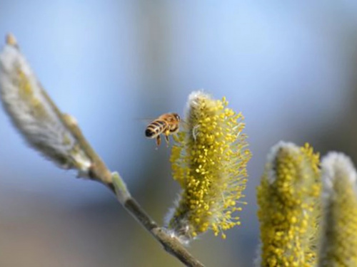 Дощові вихідні: якою буде погода в Україні 28–29 березня