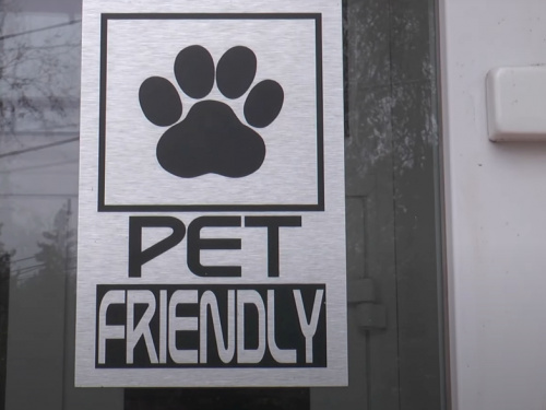 Фото Суспільне Дніпро