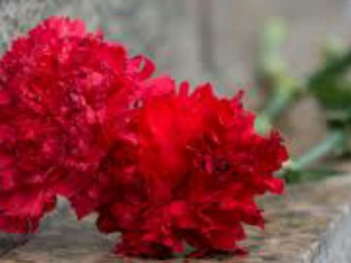 В Кривом Роге жители города почтили память воинов-афганцев