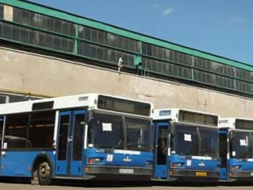 Криворожане скоро увидят большие автобусы на дорогах города от частного предприятия