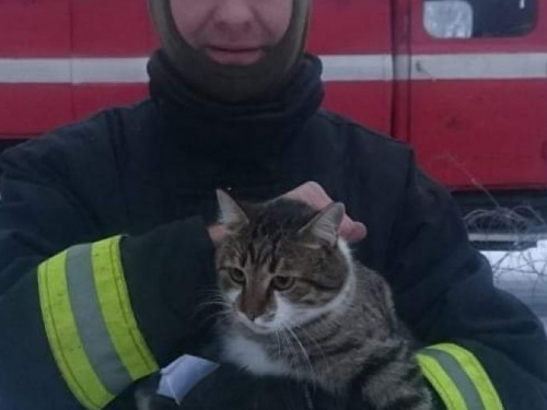 Пожарными в Криворожском районе была проведена спасательная операция (фото)