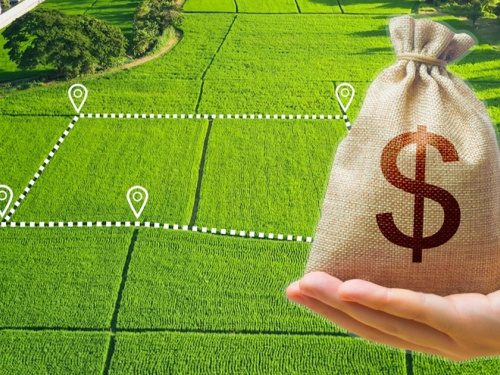 Фото з відкритих джерел