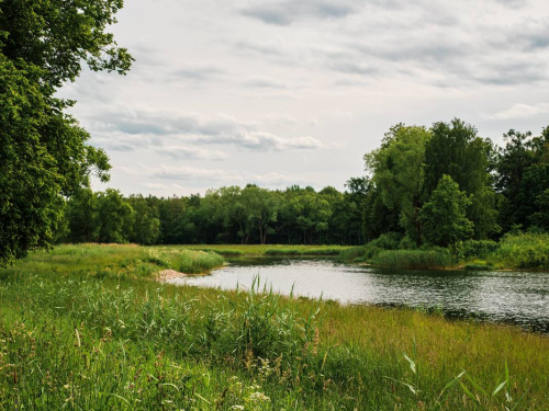 Погода на тиждень - фото ілюстративне з відкритих джерел 
