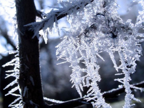 В Украину идет холодный атмосферный фронт: какой погоды ждать жителям Кривого Рога