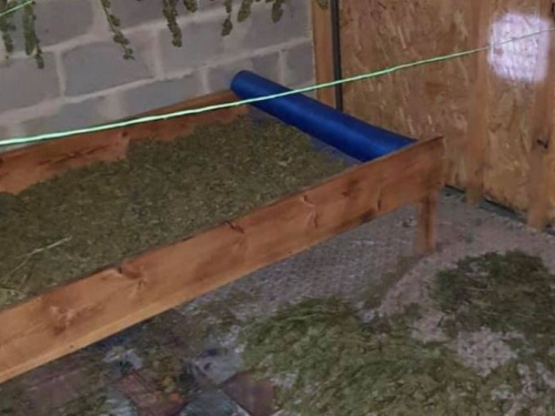 В Кривом Роге выявили "цех" и изъяли 23 килограмма марихуаны (фото) 