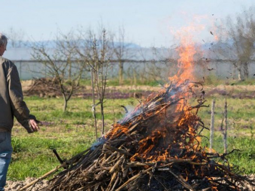 Фото із мережі Інтернет