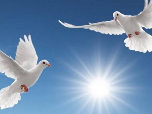 Голубь мира: маленьких криворожан приглашают присоединиться к оригинальной акции