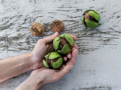 Домашні методи очищення рук після волоських горіхів - фото з відкритих джерел