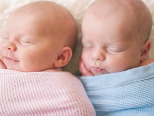 Фото з мережі Інтернет