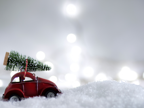 Фото з відкритих джерел