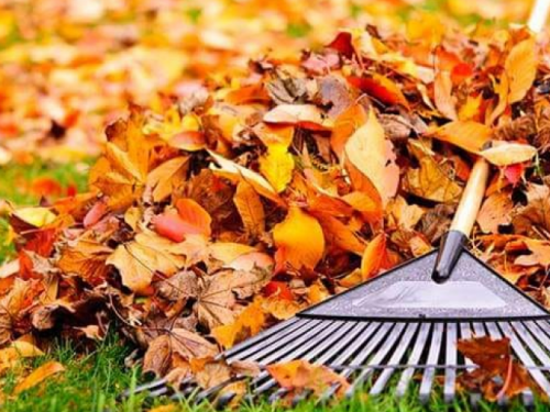 Криворожан приглашают присоединиться к субботнику, стилизованному под Хеллоуин