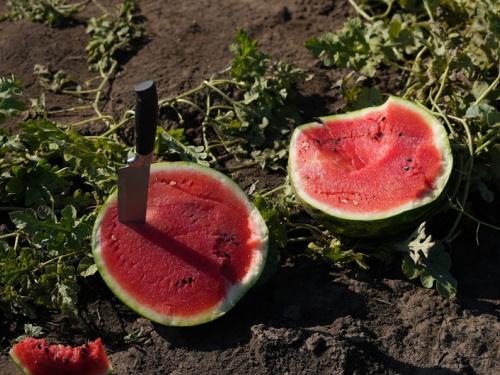 Фото Суспільне Дніпро