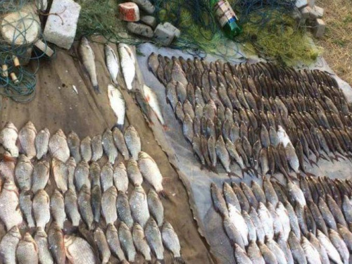 На Днепропетровщине продолжается борьба с браконьерами (фото)