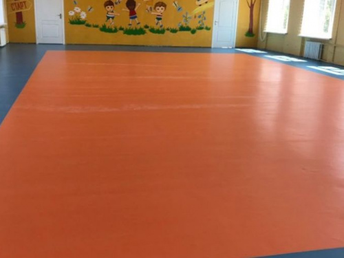 В Кривом Роге в школах преобразился фасад и спортивный зал (фото)