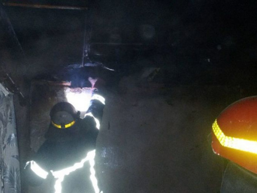 Недалеко от Кривого Рога во время пожара пострадала женщина (фото)