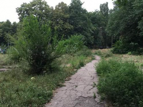 UPD: Криворожане организовывают субботник, к которому могут присоединиться все неравнодушные (ФОТО)