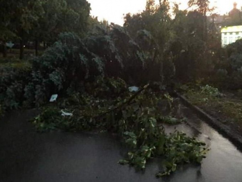 В Кривом Роге из-за непогоды назначили экстренное совещание (фото)