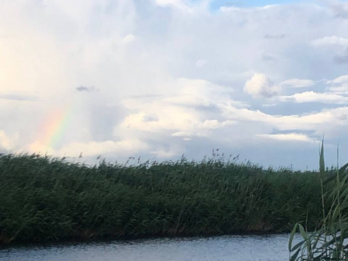 Фото krivbass.city