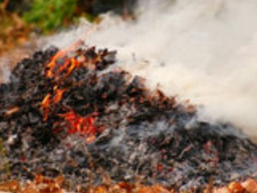 Сжигать листья опасно для здоровья и вне закона, - напомнили криворожанам