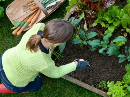 Неожиданный урожай: под Кривым Рогом были обнаружены боеприпасы