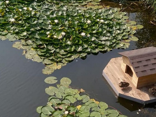 Фото: Валентина Коваленко (Facebook)