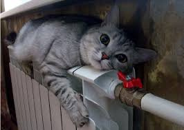 Холодні батареї в квартирах криворіжців