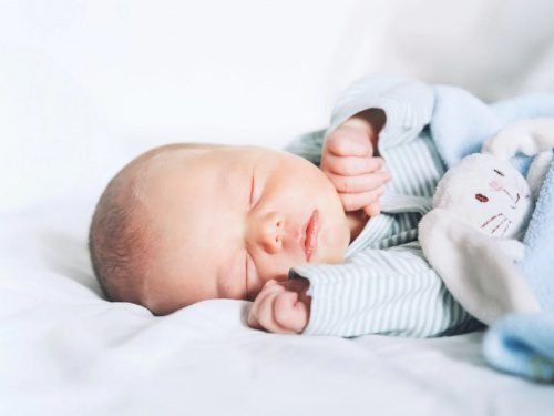 Фото ГО "Прихист"