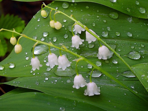 Погода в уїк-енд - фото ілюстративне з відкритих джерел