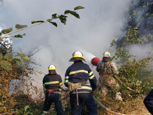 В Кривом Роге на ходу загорелся автомобиль