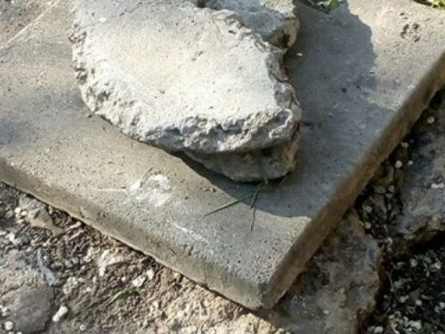 Лучше не придумаешь: в Кривом Роге люк, с упавшей в него собакой, закрыли бетонной плитой