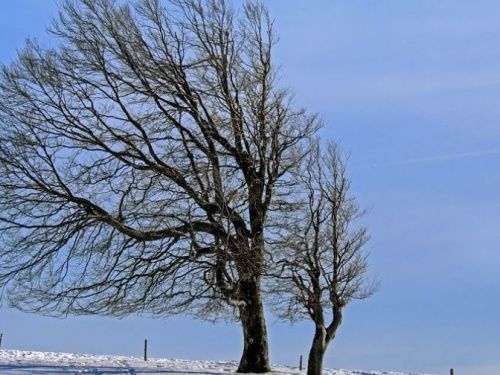 Погода в Кривом Роге: в городе объявлено штормовое предупреждение