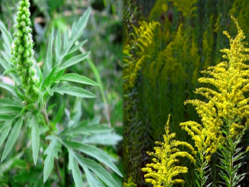 Фото з відкритих джерел