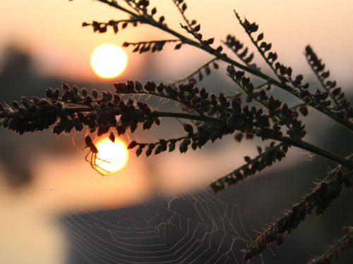 Фото з відкритих джерел
