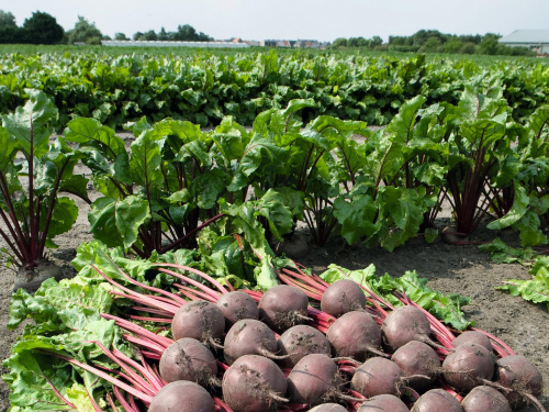 Фото з відкритих джерел  