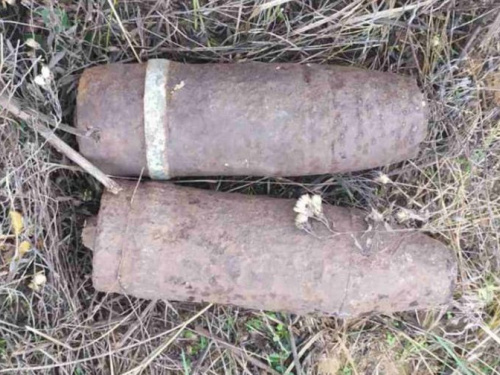 Снаряд вместо грибов: недалеко от Кривого Рога обнаружили опасную находку (фото)