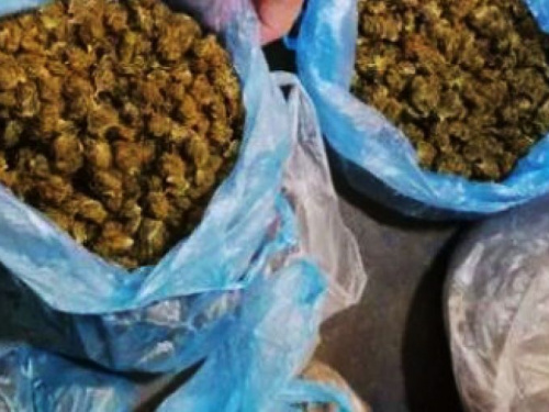 У жителя Кривого Рога полицейские изъяли наркотические вещества на полмиллиона гривен (ФОТО)