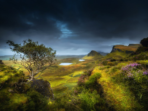 Фото з відкритих джерел 