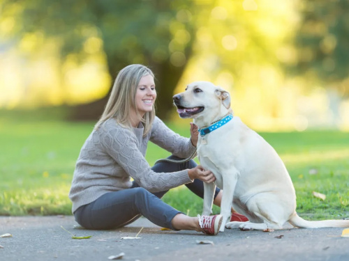 Як собака покращує настрій: наука та практика - фото з відкритих джерел