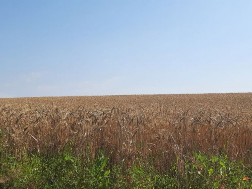 Фото: Криворізьке міське управління ГУ ДСНС України у Дніпропетровській області