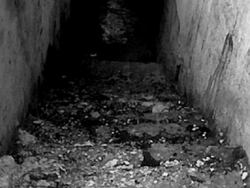 В одном из районов Кривого Рога обнаружили забитого до смерти бездомного