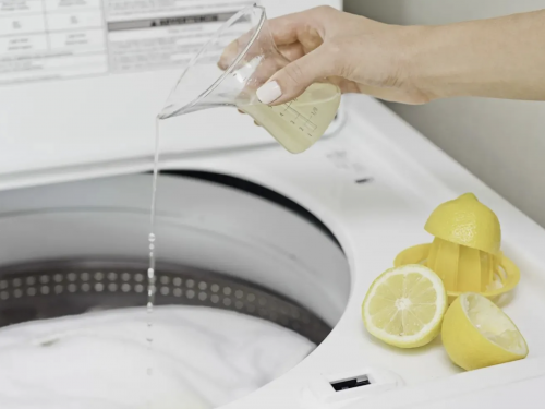 Фото з відкритих джерел