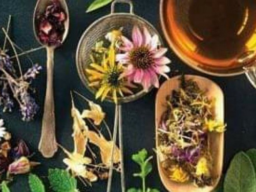 Исцеляющая сила растений и чайные композиции: криворожане могут посетить бесплатный мастер-класс