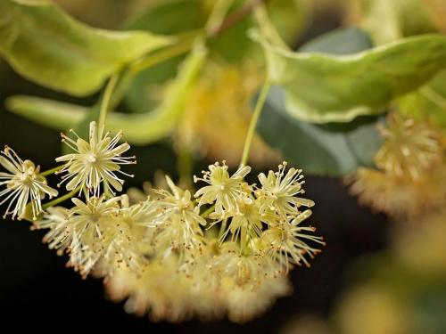 Фото з відкритих джерел