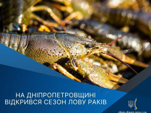 Фото Дніпропетровський рибоохоронний патруль